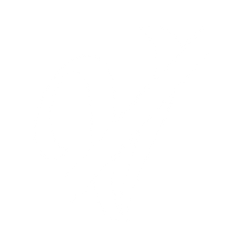 VISION Multimedia Productions